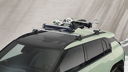 Skid- och snowboardhållare 600