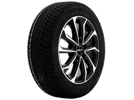 Vinterhjul 18″ Goodyear Friktion